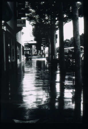 wet_sidewalk